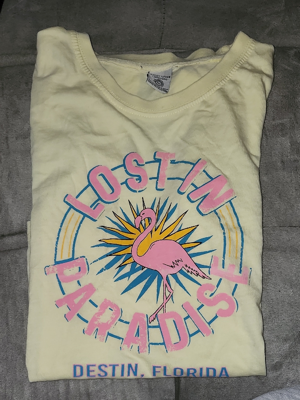 Lost in Paradise Destin Florida Flamingo Tee - Cream & Pink